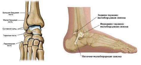 Причины и лечение боли в голеностопном суставе после игры в футбол